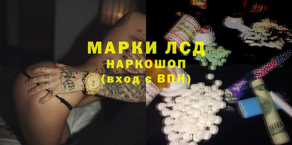 спайс Алзамай