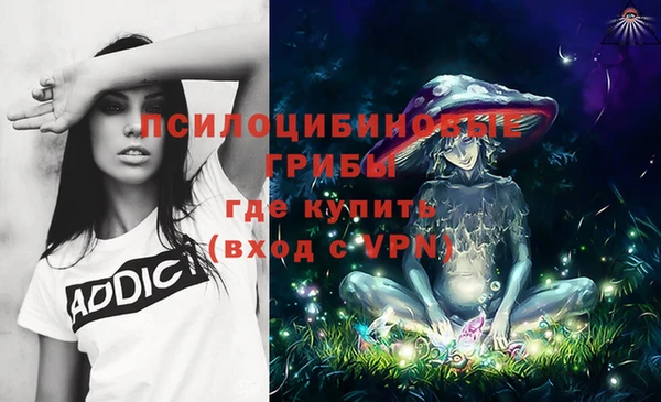 спайс Алзамай