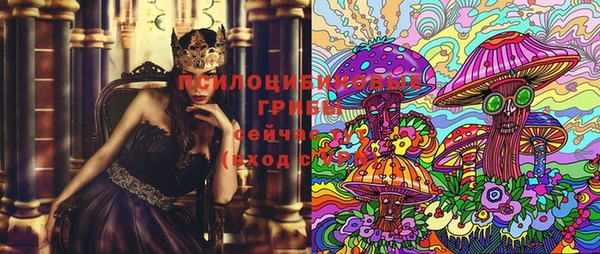 спайс Алзамай