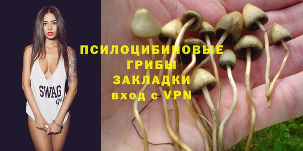 спайс Алзамай
