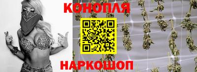 apvp Канаш