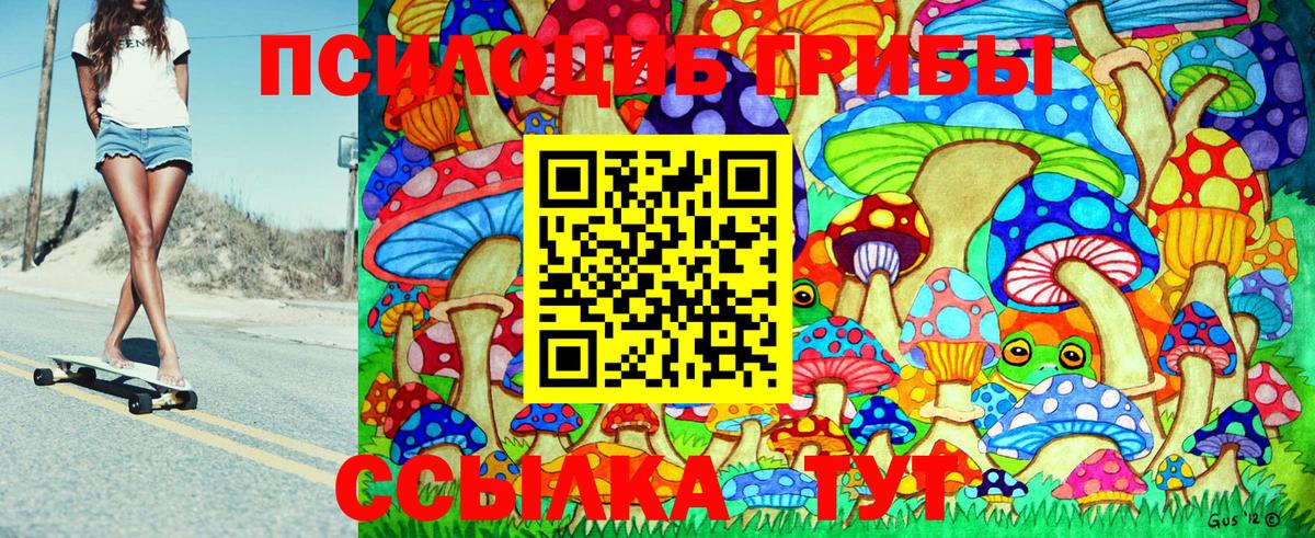 Галлюциногенные грибы GOLDEN TEACHER Лесной