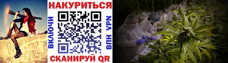 Канабис конопля  shop состав  Лесной 